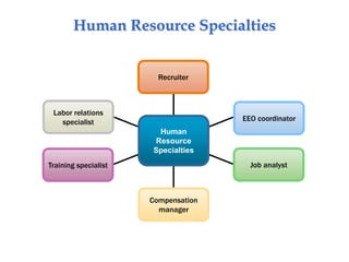 Human Resource Specialties
Recruiter
EEO coordinator
Labor relations
specialist
Training specialist Job analyst
Compensation
manager
Human
Resource
Specialties
 