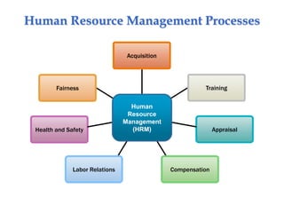 Human Resource Management Processes
Acquisition
Training
Appraisal
CompensationLabor Relations
Health and Safety
Fairness
Human
Resource
Management
(HRM)
 