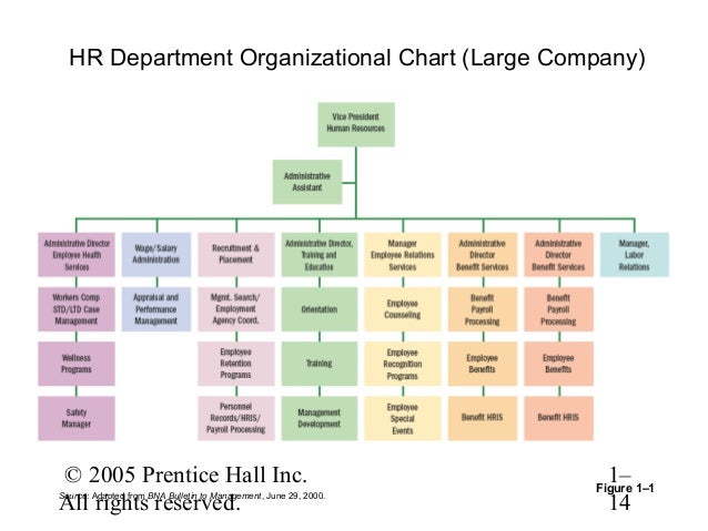 Human Resources Department Organizational Chart