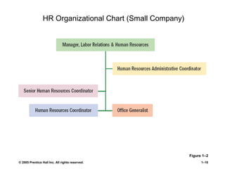 © 2005 Prentice Hall Inc. All rights reserved. 1–16
HR Organizational Chart (Small Company)
Figure 1–2
 