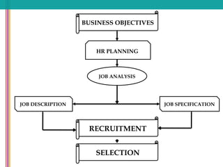 BUSINESS OBJECTIVES
RECRUITMENT
HR PLANNING
JOB DESCRIPTION JOB SPECIFICATION
JOB ANALYSIS
SELECTION
 