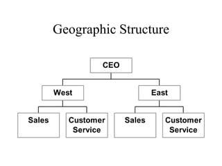 Geographic Structure
Sales Customer
Service
West
Sales Customer
Service
East
CEO
 