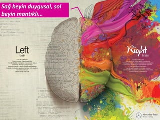 Sağ beyin duygusal, sol
beyin mantıklı...
 