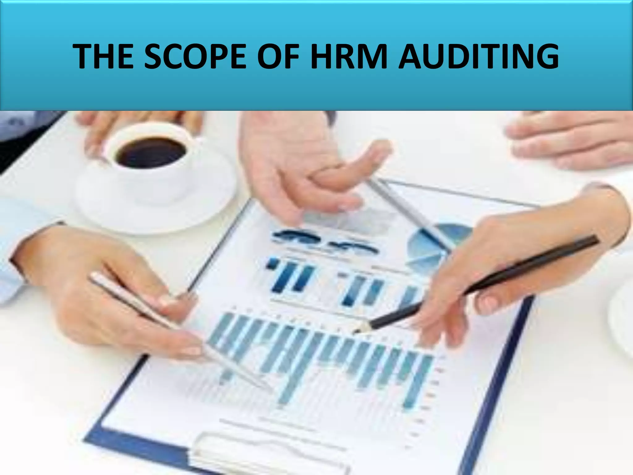 THE SCOPE OF HRM AUDITING
 