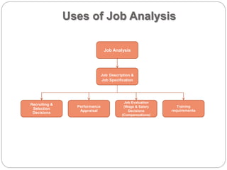 Uses of Job Analysis
Job Analysis
Training
requirements
Job Evaluation
(Wage & Salary
Decisions
(Compensations)
Performance
Appraisal
Recruiting &
Selection
Decisions
Job Description &
Job Specification
 