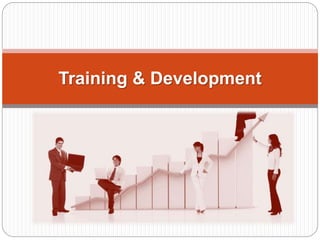 Training & Development
 