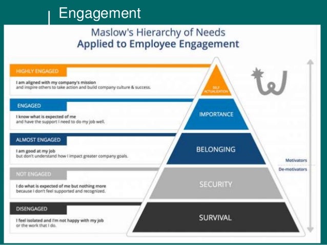 Employee Retention, Engagement and Careers