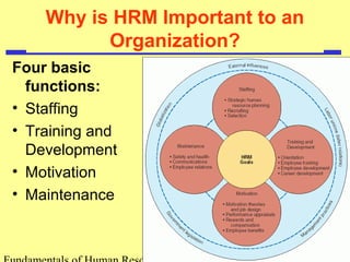 Why is HRM Important to an 
Organization? 
Four basic 
functions: 
• Staffing 
• Training and 
Development 
• Motivation 
• Maintenance 
Fundamentals of Human Resource 
 