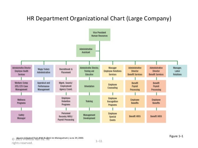 Human Resource Management Chart