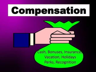 Compensation

Cash, Bonuses, Insurance,
Vacation, Holidays
Perks, Recognition

 
