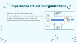 Functions of Human Resource Management (HRM) (by Md Rizwan Molla) | PDF