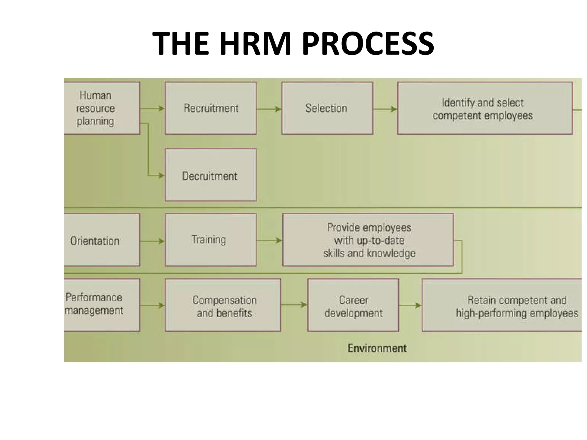 THE HRM PROCESS 