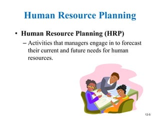 human resource management selection process | PDF