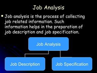 Job Analysis
 Job analysis is the process of collecting
 job related information. Such
 information helps in the preparation of
 job description and job specification.

                 Job Analysis



   Job Description         Job Specification
 