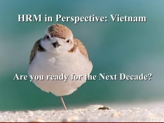 HRM in Perspective: Vietnam Are you ready for the Next Decade? 