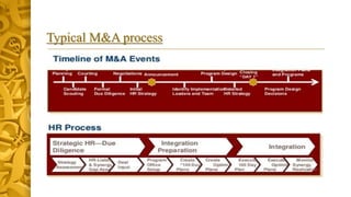 Typical M&A process
 