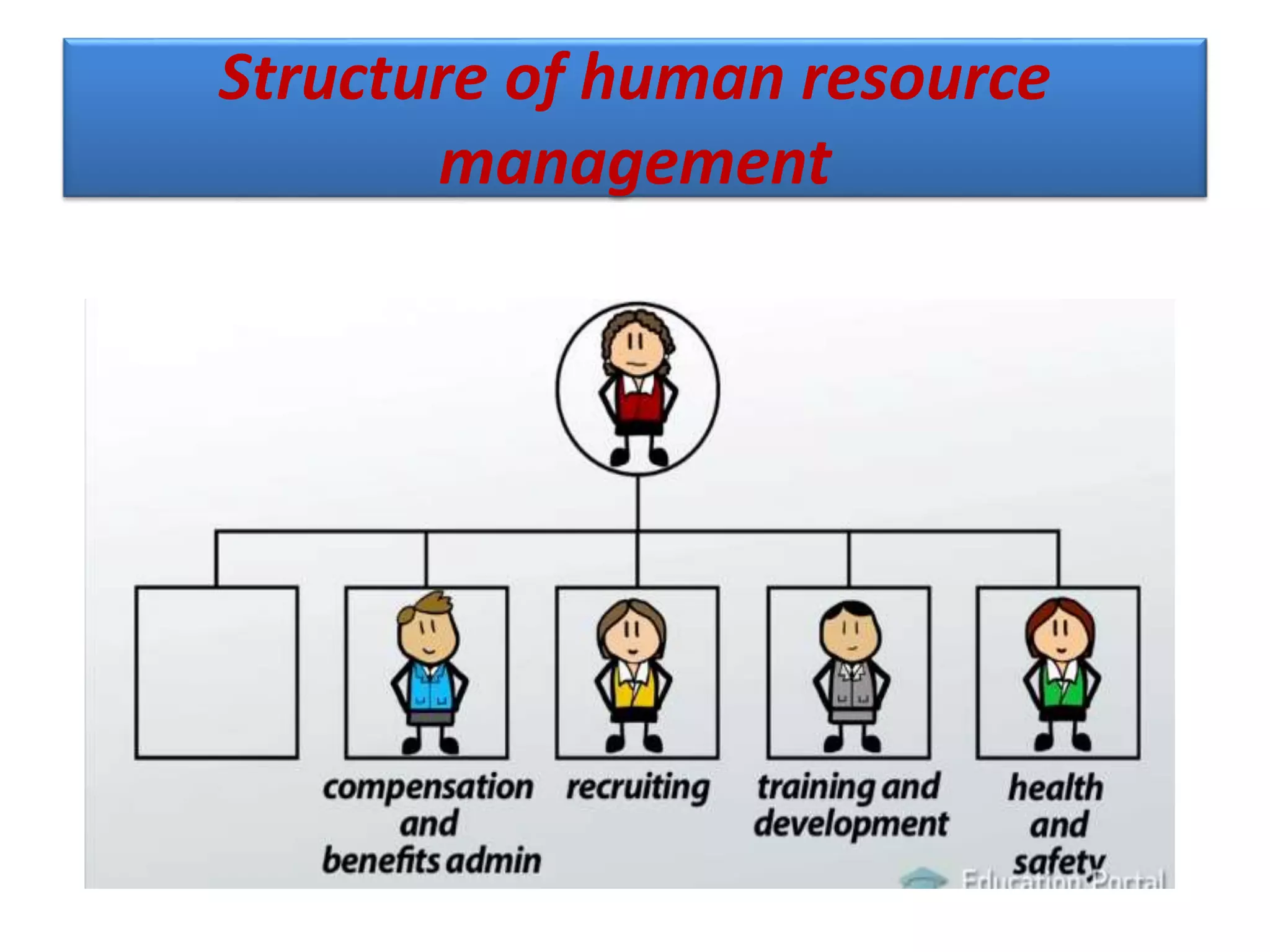 Structure of human resource
management
 