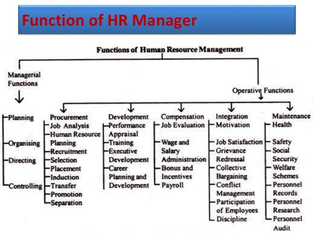 functions and structure of human resource hr functions