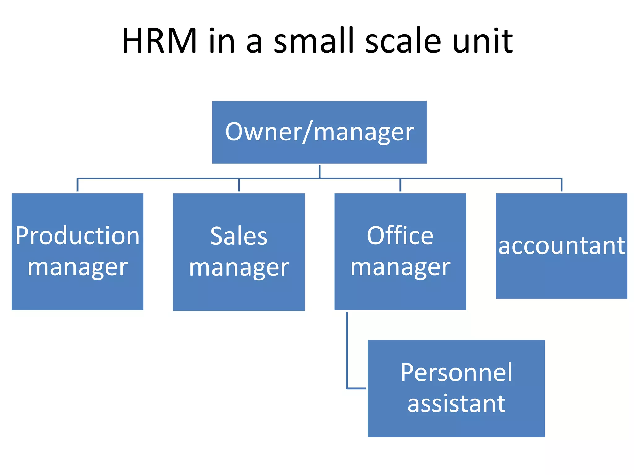 HRM in a small scale unit

               Owner/manager


Production    Sales     Office    accountant
 manager     manager   manager


                          Personnel
                           assistant
 