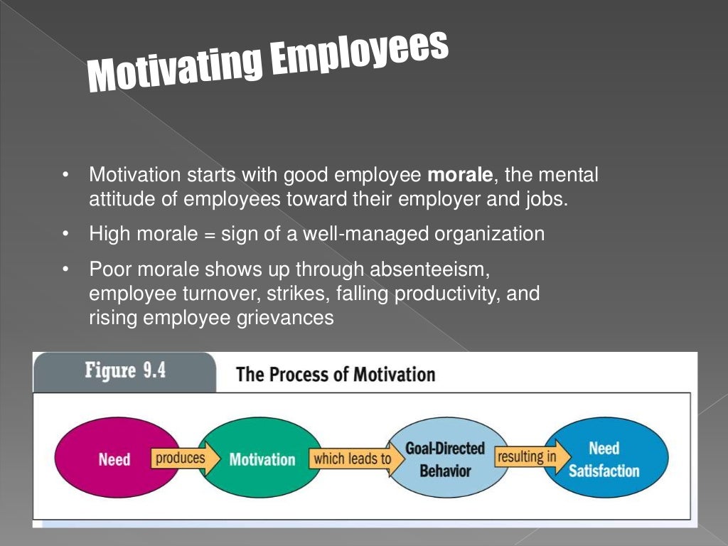 Human Resource Motivation