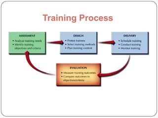 Training Process

 