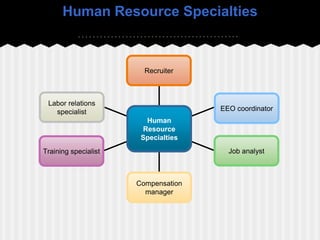 Human Resource Specialties
Recruiter
EEO coordinator
Labor relations
specialist
Training specialist Job analyst
Compensation
manager
Human
Resource
Specialties
 