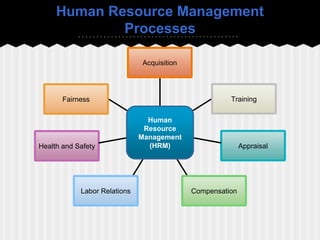 Human Resource Management
Processes
Acquisition
Training
Appraisal
CompensationLabor Relations
Health and Safety
Fairness
Human
Resource
Management
(HRM)
 