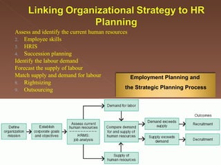 Assess and identify the current human resources Employee skills HRIS Succession planning Identify the labour demand Forecast the supply of labour Match supply and demand for labour Rightsizing Outsourcing Employment Planning and  the Strategic Planning Process 