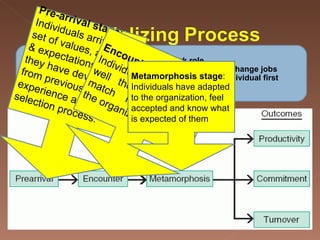 A process of adaptation to a new work role.   Adjustments must be made whenever individuals change jobs The most profound adjustment occurs when an individual first enters an organization Pre-arrival stage :  Individuals arrive with set of values, attitudes & expectations which they have developed from previous experience and the selection process.   Encounter stage :  Individuals discover how well their expectations match realities within the organization Metamorphosis stage :  Individuals have adapted to the organization, feel accepted and know what is expected of them 