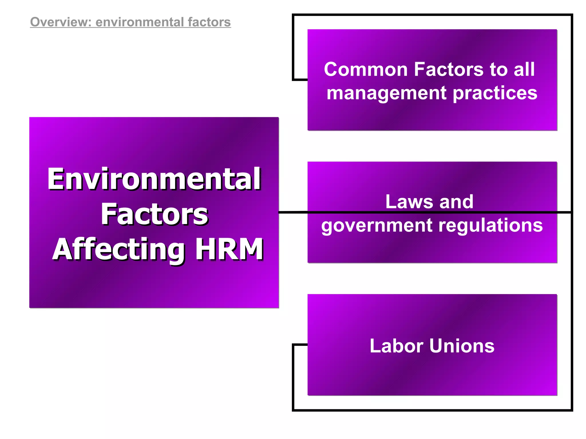 Common Factors to all  management practices Environmental Factors Affecting HRM Laws and  government regulations Labor Unions Overview: environmental factors 