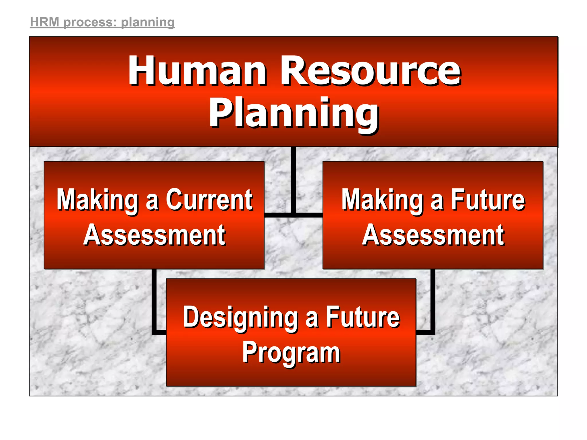 Human Resource Planning Making a Future Assessment Making a Current Assessment Designing a Future Program HRM process: planning 