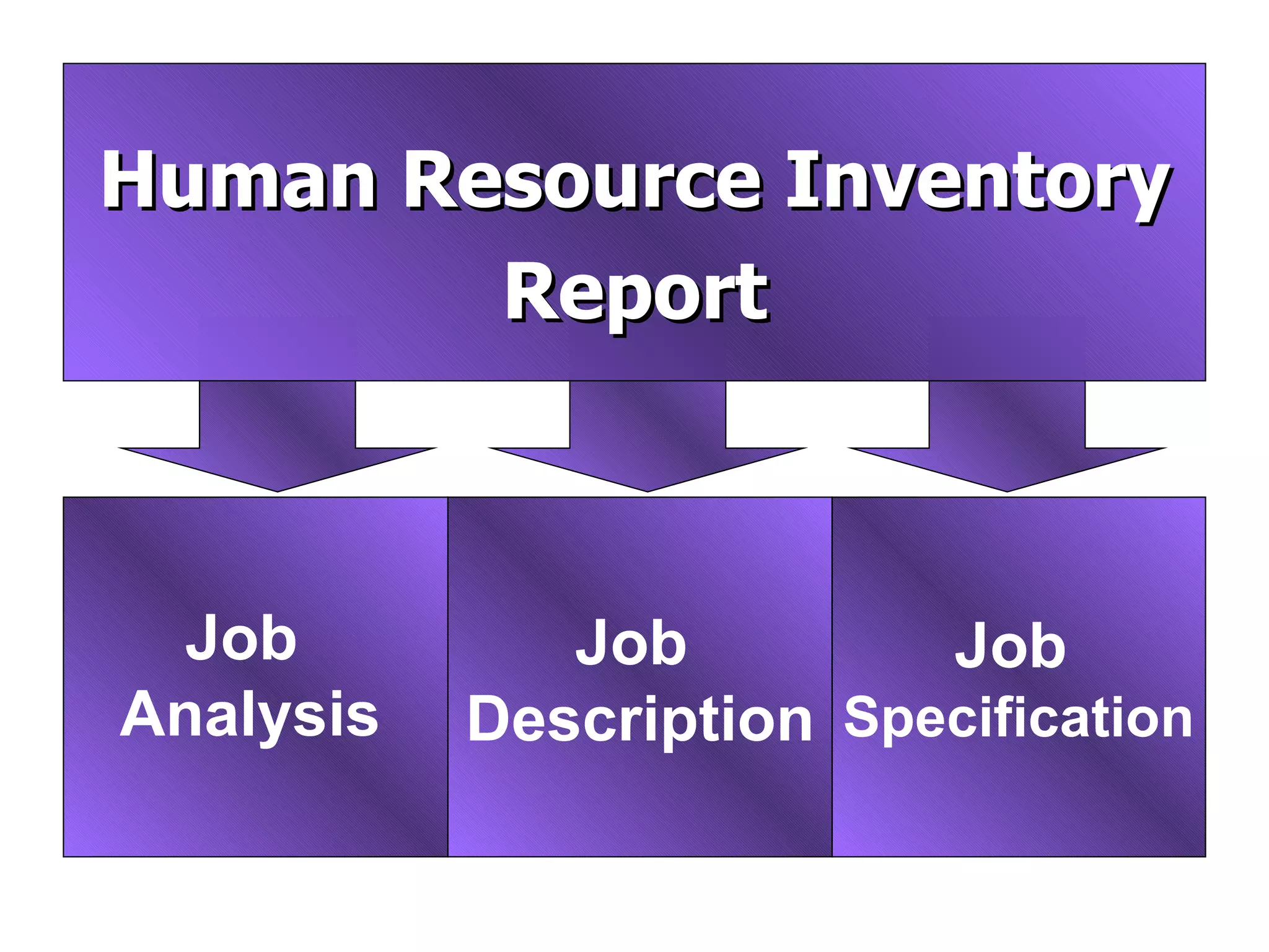 Job  Analysis Job   Specification Human Resource Inventory Report Job  Description 
