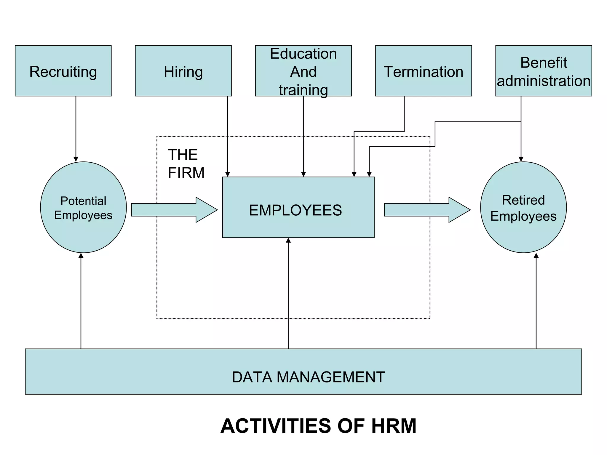 Potential Employees Retired Employees Recruiting Hiring Education And training Termination Benefit administration ACTIVITIES OF HRM DATA MANAGEMENT EMPLOYEES THE FIRM 