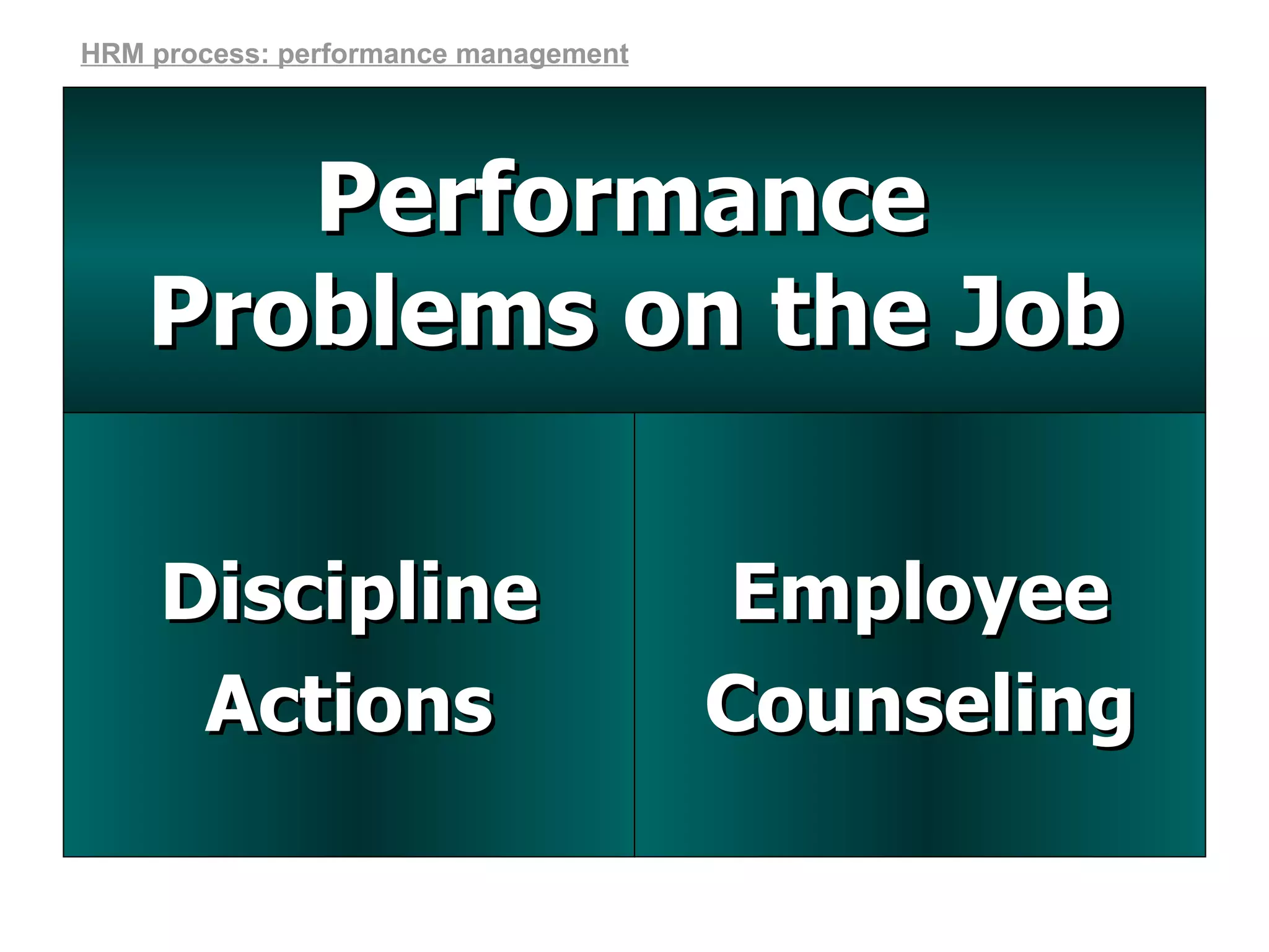 Employee Counseling Discipline Actions Performance  Problems on the Job HRM process: performance management 