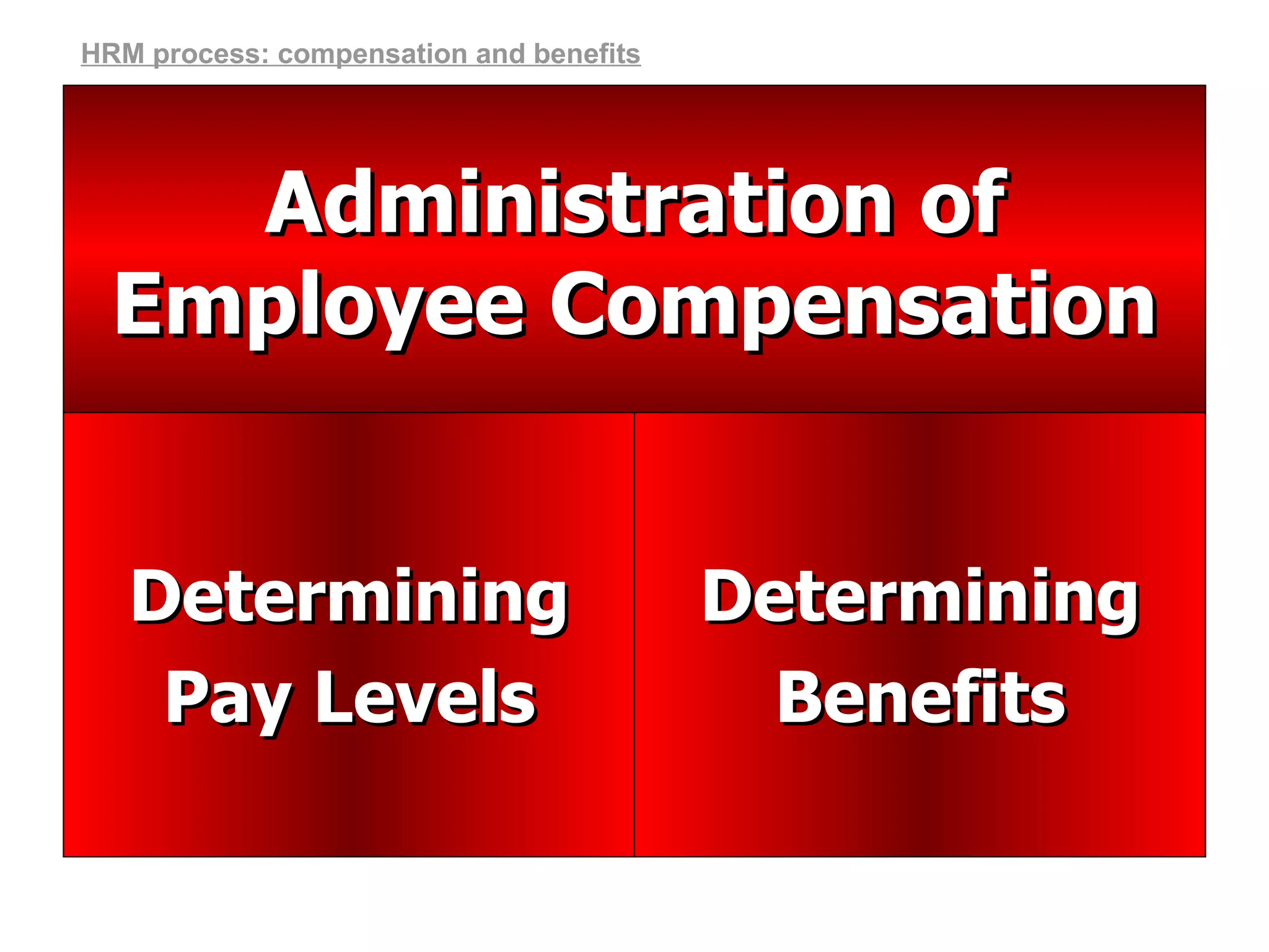 Determining Benefits Determining Pay Levels Administration of Employee Compensation HRM process: compensation and benefits 