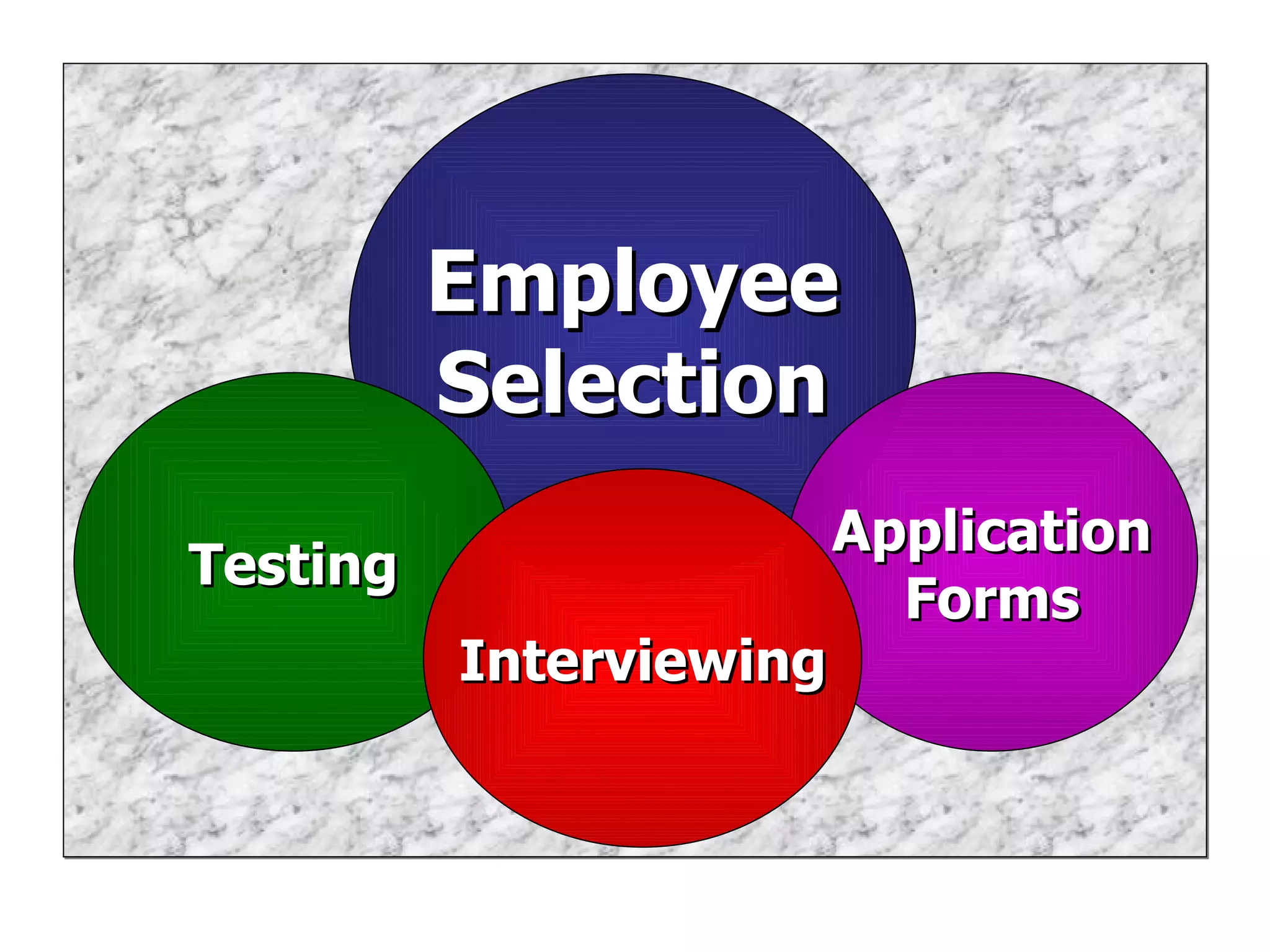 Employee Selection Application Forms Testing Interviewing 