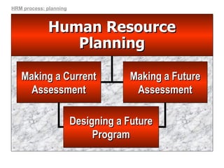 Human Resource Planning Making a Future Assessment Making a Current Assessment Designing a Future Program HRM process: planning 