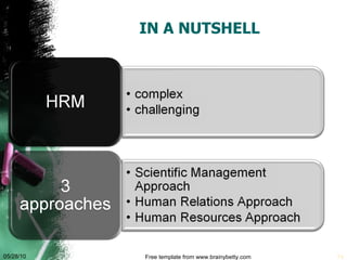 IN A NUTSHELL 05/28/10 Free template from www.brainybetty.com 