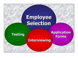 Employee Selection Application Forms Testing Interviewing 