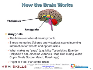 32
How the Brain Works
 Amygdala
 The brain’s emotional memory bank
 Stores memories (failures and victories); scans in...