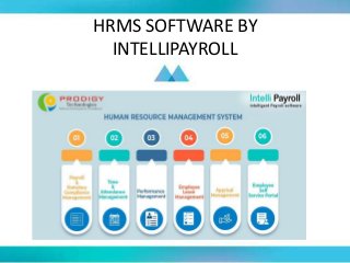 HRMS SOFTWARE BY
INTELLIPAYROLL
 