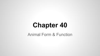 Chapter 40
Animal Form & Function
 