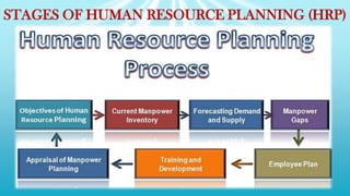 STAGES OF HUMAN RESOURCE PLANNING (HRP)
 