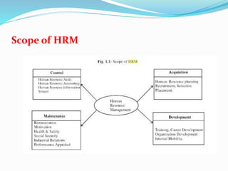 Scope of HRM
 