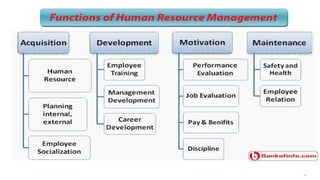 Comprehensive Overview of Human Resource Management: Functions, Roles ...