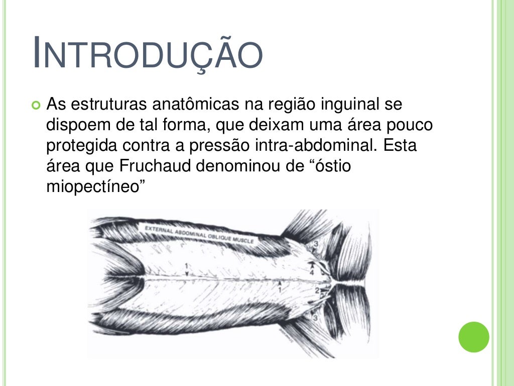 Hernia Inguinal Em Caes - RETOEDU