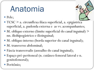 Anatomia
 Pele;
 TCSC > a. circunflexa ilíaca superficial, a. epigástrica
  superficial, a. pudenda externa e as vv. acompanhantes;
 M. oblíquo externo (limite superficial do canal inguinal) >
  nn. iliohipogástrico e ilioinguinal;
 M. oblíquo interno (borda superior do canal inguinal);
 M. transverso abdominal;
 Fáscia transversalis (assoalho do canal inguinal);
 Espaço pré-peritoneal (n. cutâneo femoral lateral e n.
  genitofemoral);
 Peritônio;
 