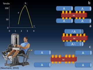 0 1 2 3 4
Tensão
100
50
0
a
b
c
AA
M
A A
AA
M
A A
M
AA
AA
a
b
c
(Neumann, 2010)
 