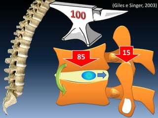 85
15
(Giles e Singer, 2003)
 
