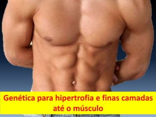 Genética para hipertrofia e finas camadas
até o músculo
 